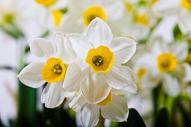 Modder轻松打开《光环：无限》一项设置 引发大量争议